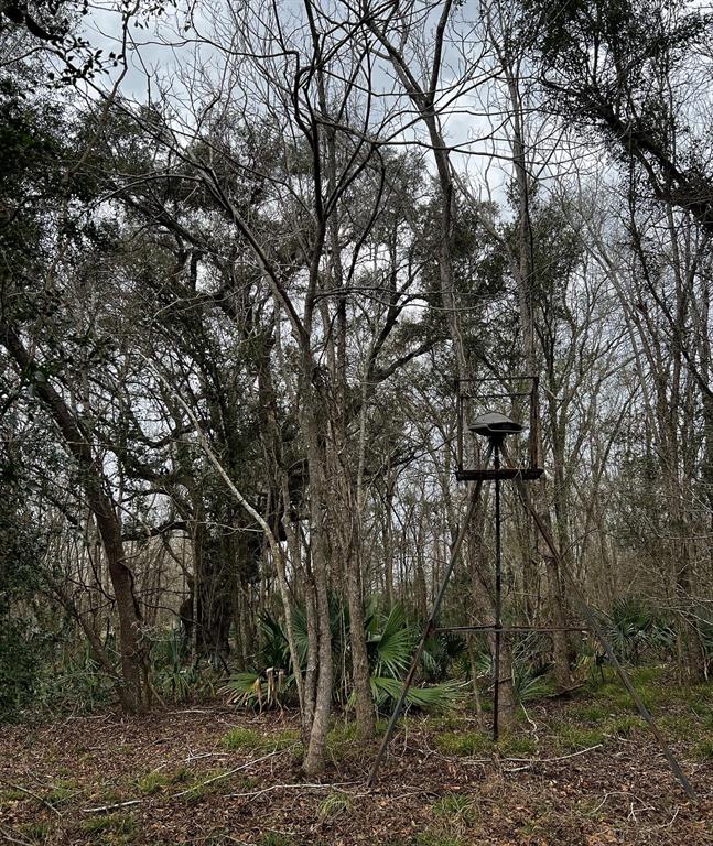 0 Cr 743 Wilson Road Off, Old Ocean, TX 77463