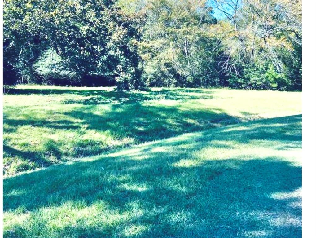 24934 Shady Oaks Drive, Hockley, TX 77447