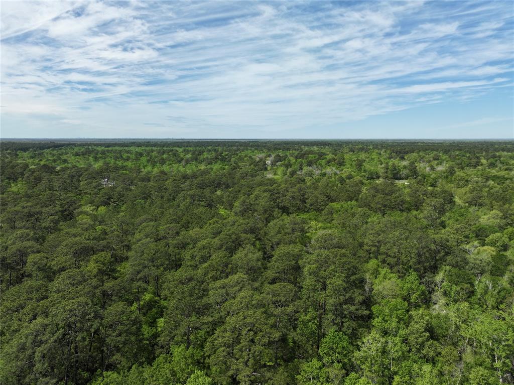 10037 Fm 563 Rd, Liberty, TX 77575