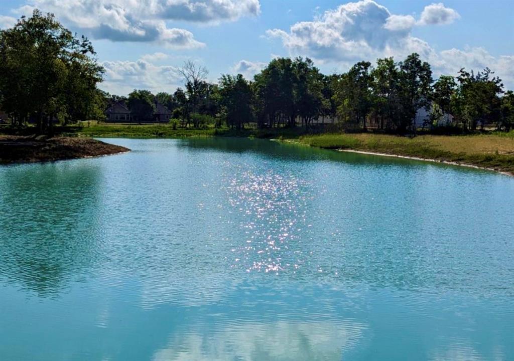 2723 Whispering Pine Drive, Alvin, TX 77511