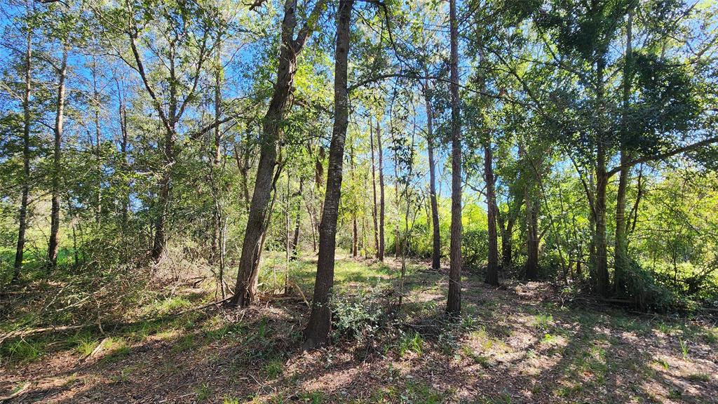 XX Eunice Lane, Alvin, TX 77511