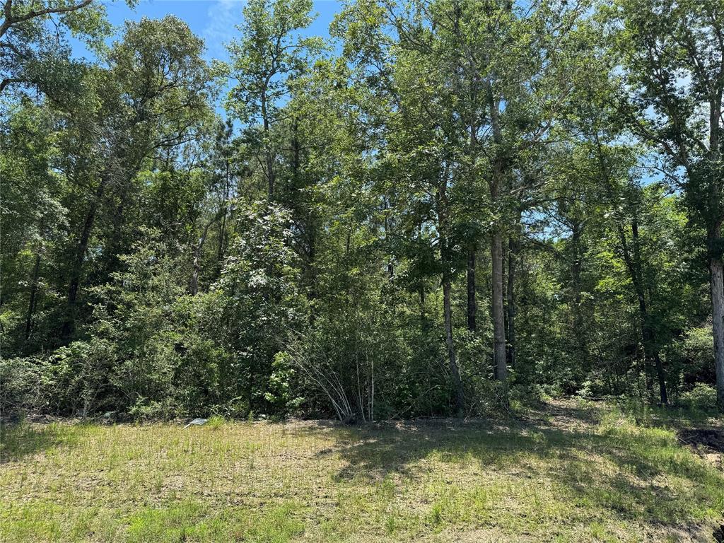 179 Iron Horse Road, New Waverly, TX 77358