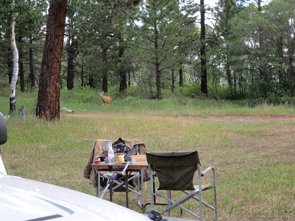 Henry Mountain’s & Elk Ridge Expedition Utah