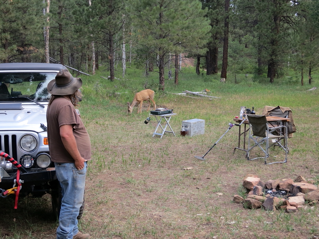 Henry Mountain’s & Elk Ridge Expedition Utah