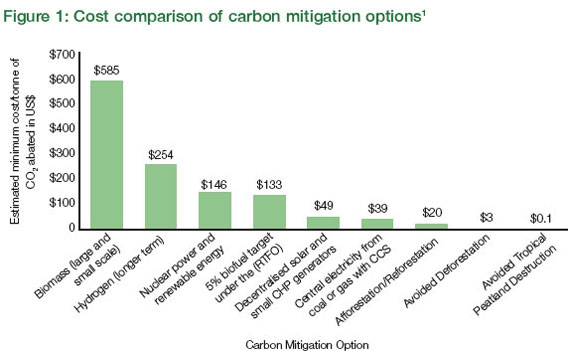 Biofuels 200 times more expensive than forest conservation