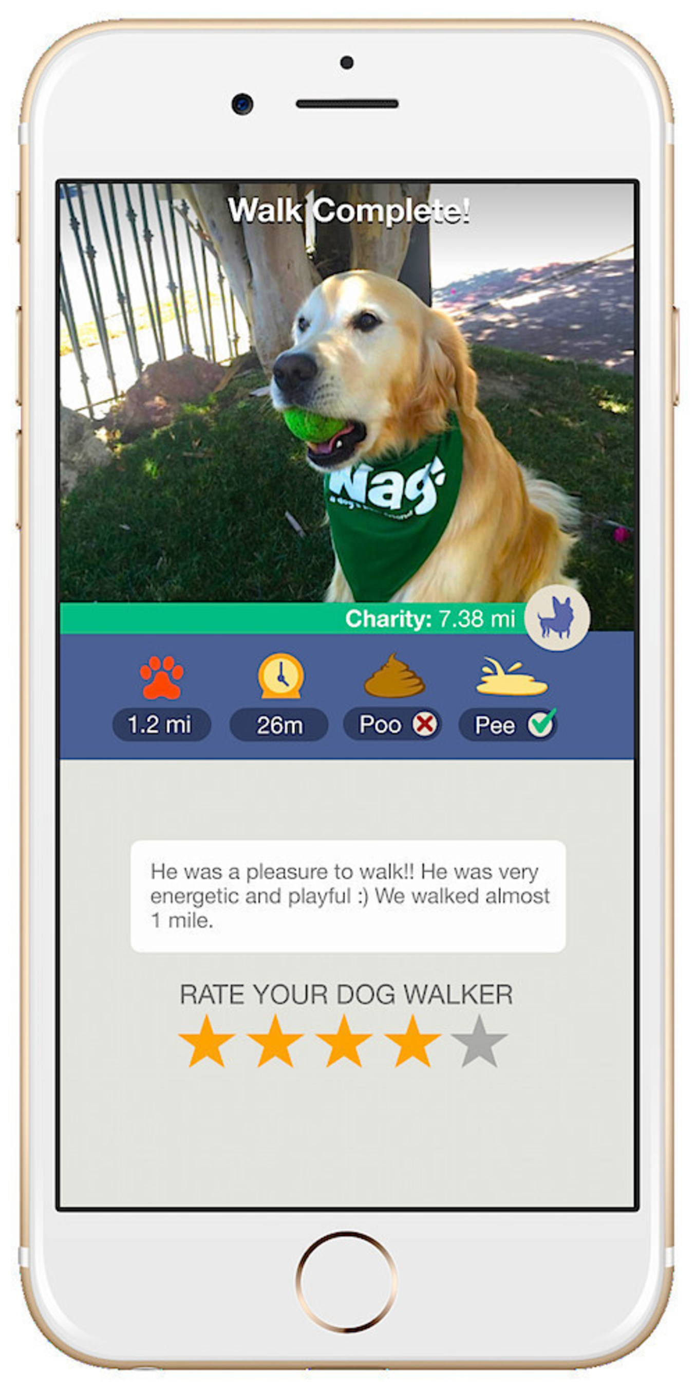 dog walking tracker online