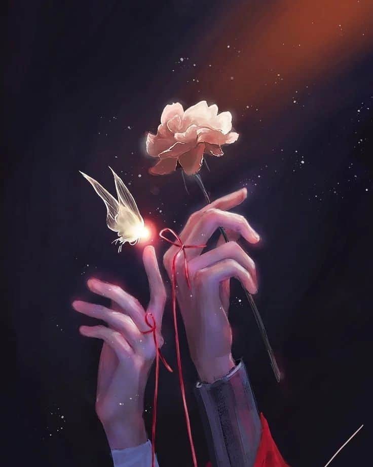 Whatsapp Dp Hd Wallpapers 1080p