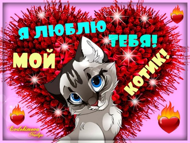 Картинка Я люблю тебя! Мой котик! Картинки, открытки Я тебя люблю