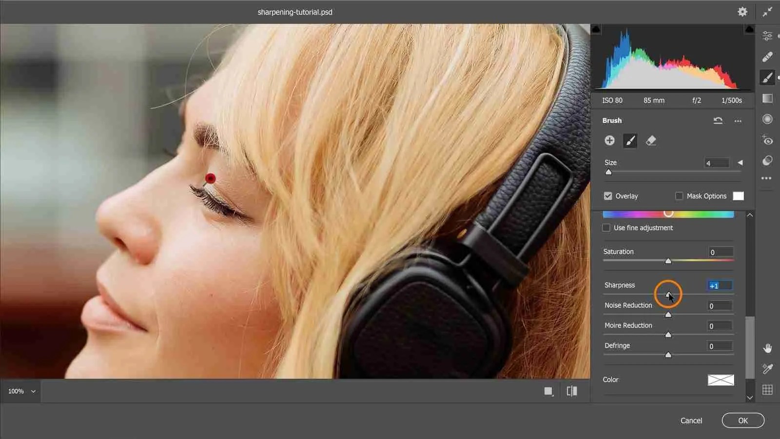 Two Powerful Ways To Sharpen Photos in (Sharpening Fast & Easy)
