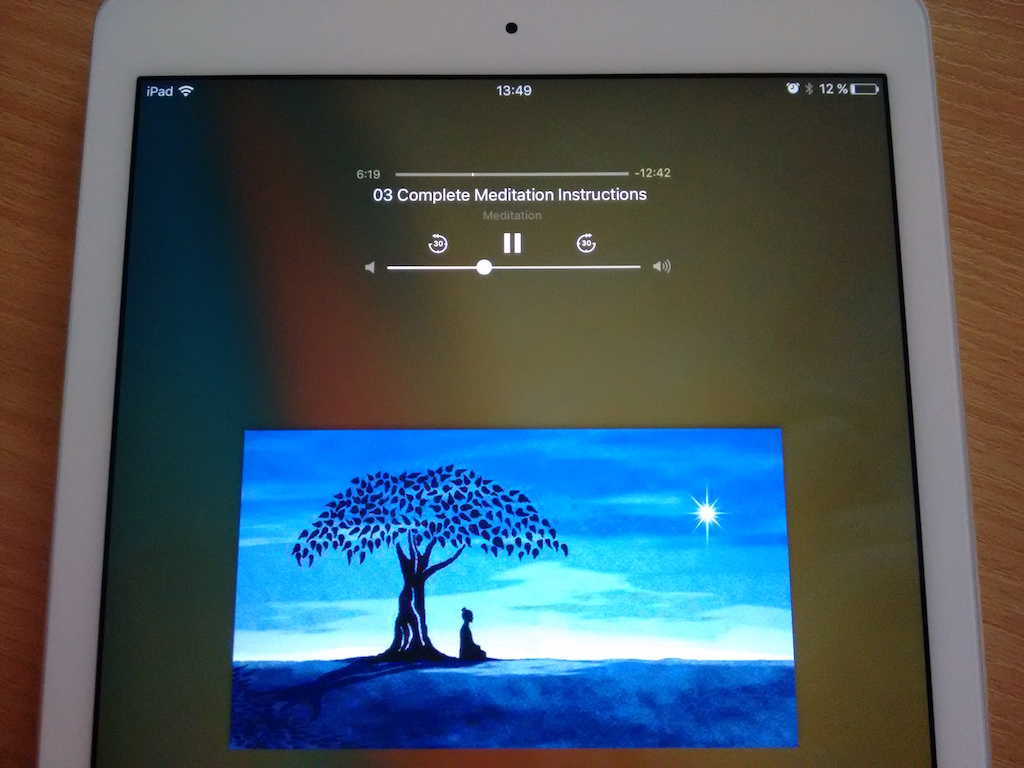 cordovapluginremotecmdplayinginfo npm