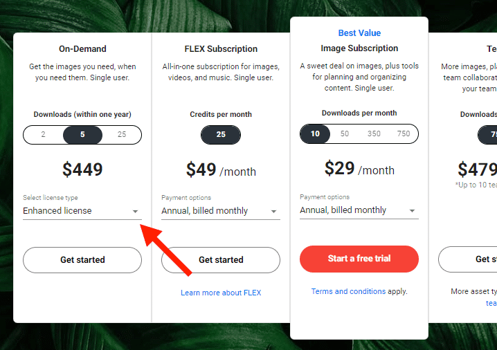 Shutterstock Licenses Explained Everything you need to know