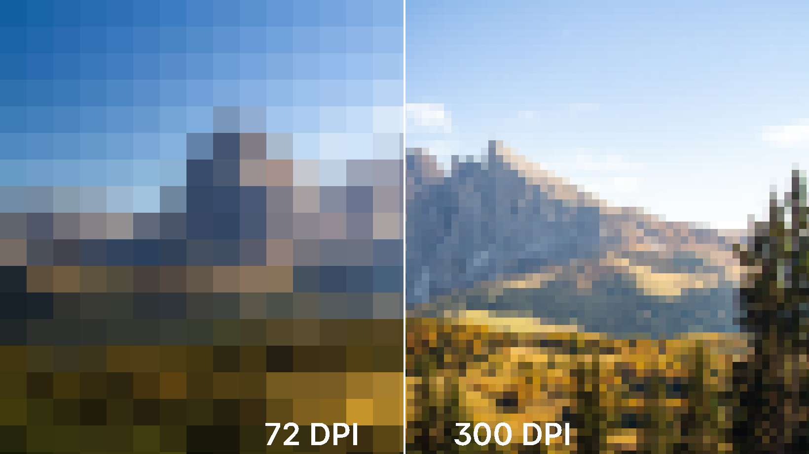 DPI Meaning What is DPI & How to Check it Photutorial