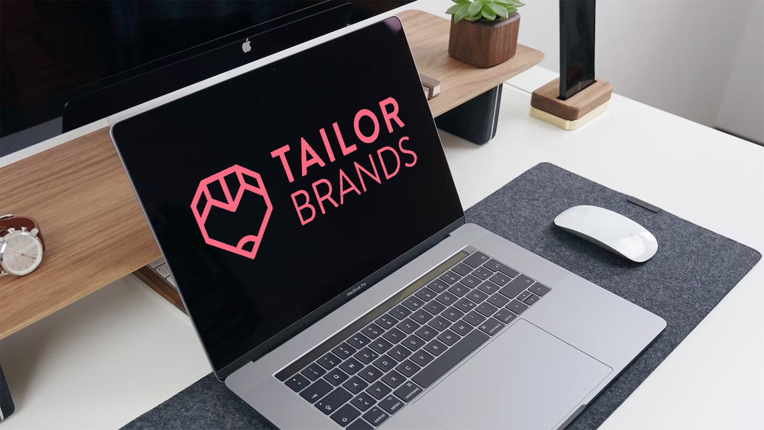How much is Tailor Brands? Photutorial