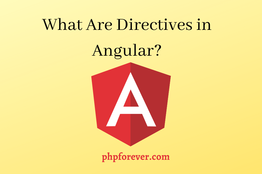 What Are Directives in Angular.