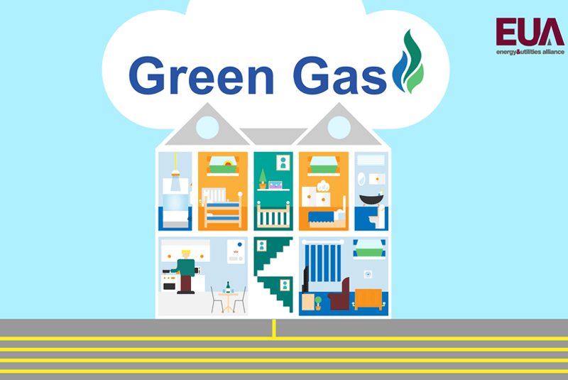 EUA releases video showcasing Green Gas PHPI Online