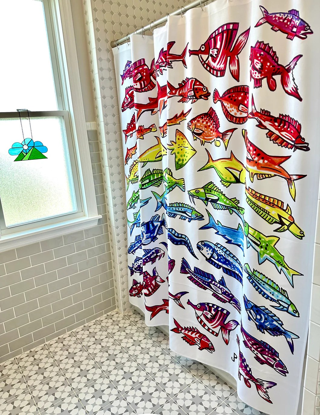 Pollock Rainbow Fish Shower Curtain Phrames Etc.