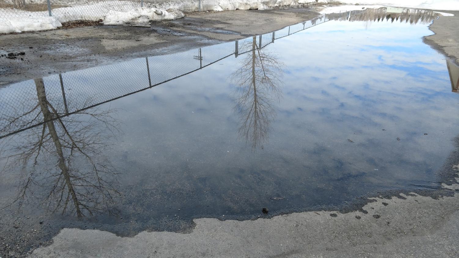 Cccold? … In WwWyoming? … Nnnever! The Prowl