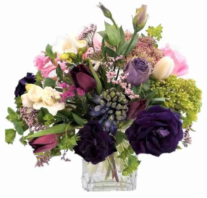 Spring Jewel Phulero Dola Flowers