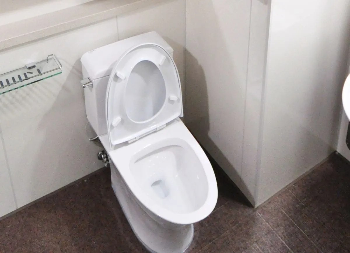 How Much Does It Cost To Have A Toilet Professionally Installed?