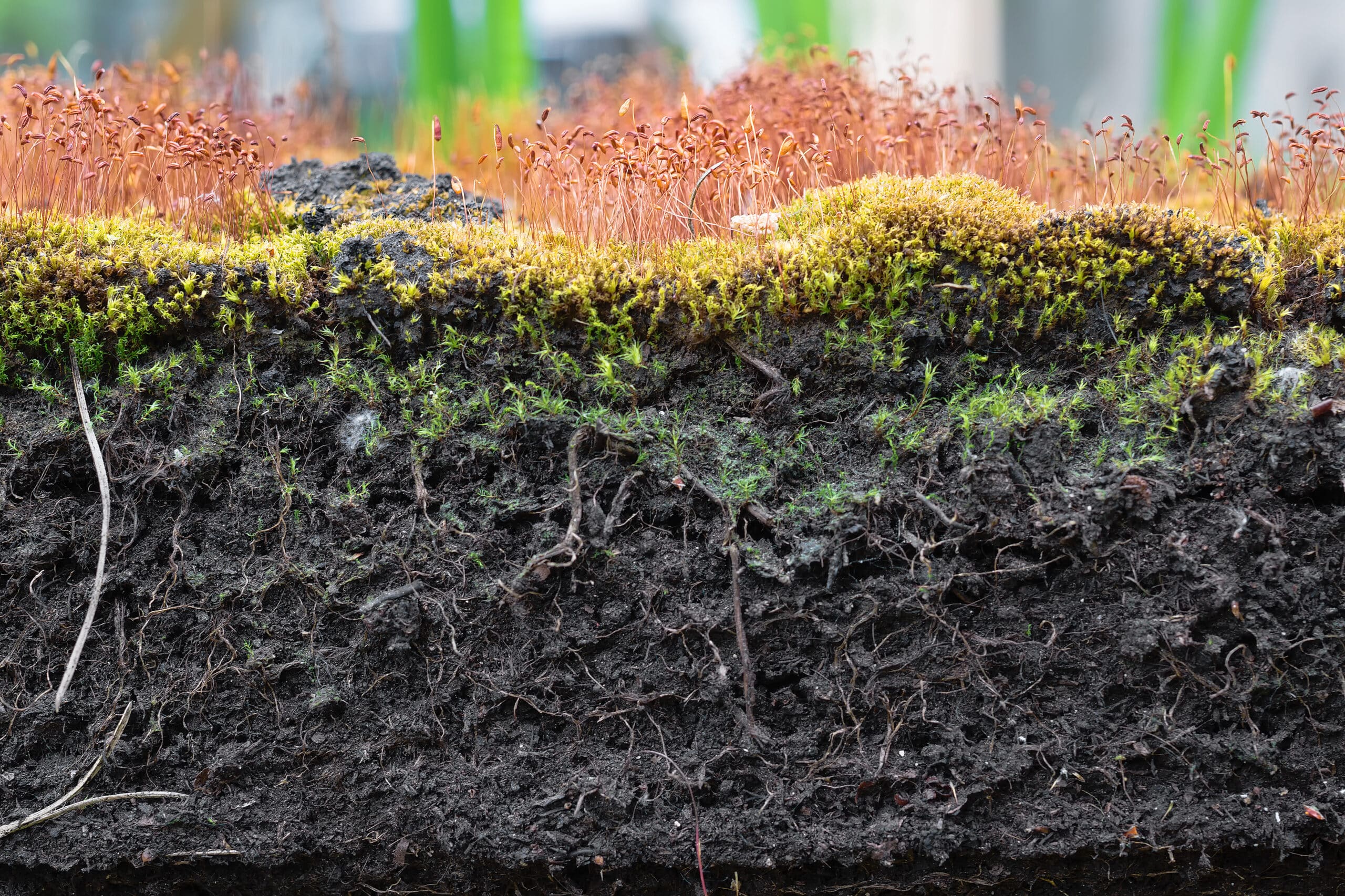 Soil Structure and Compaction Solutions