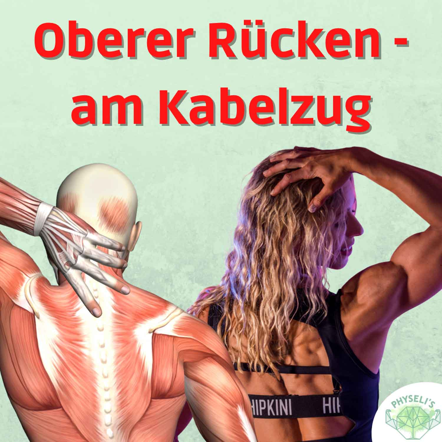 Oberer Rücken und hintere Schulter am Kabelzug PHYSELI'S