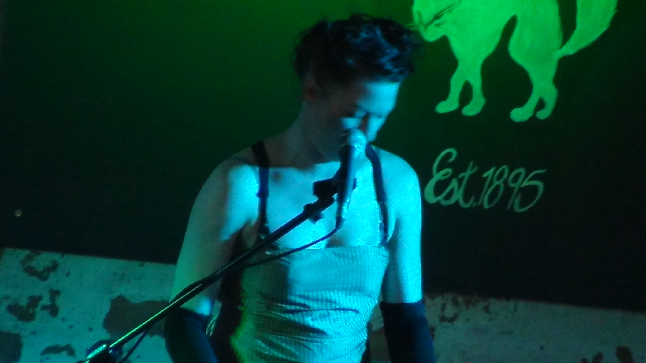 Amanda Palmer Map of Tasmania Lyrics Lyrics.com