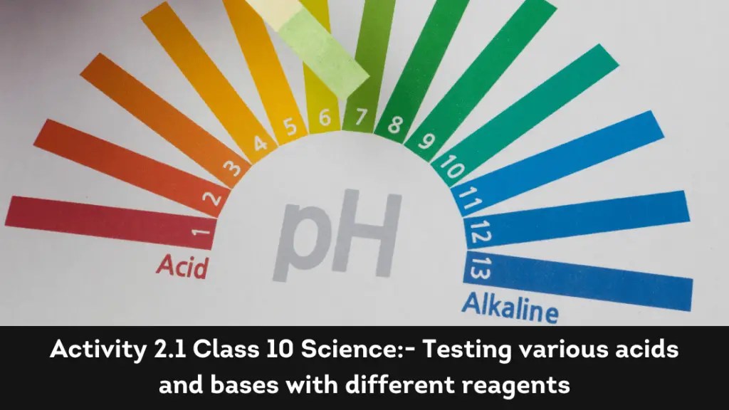 Activity 2.1 Class 10 Science Exploring Acids & Bases