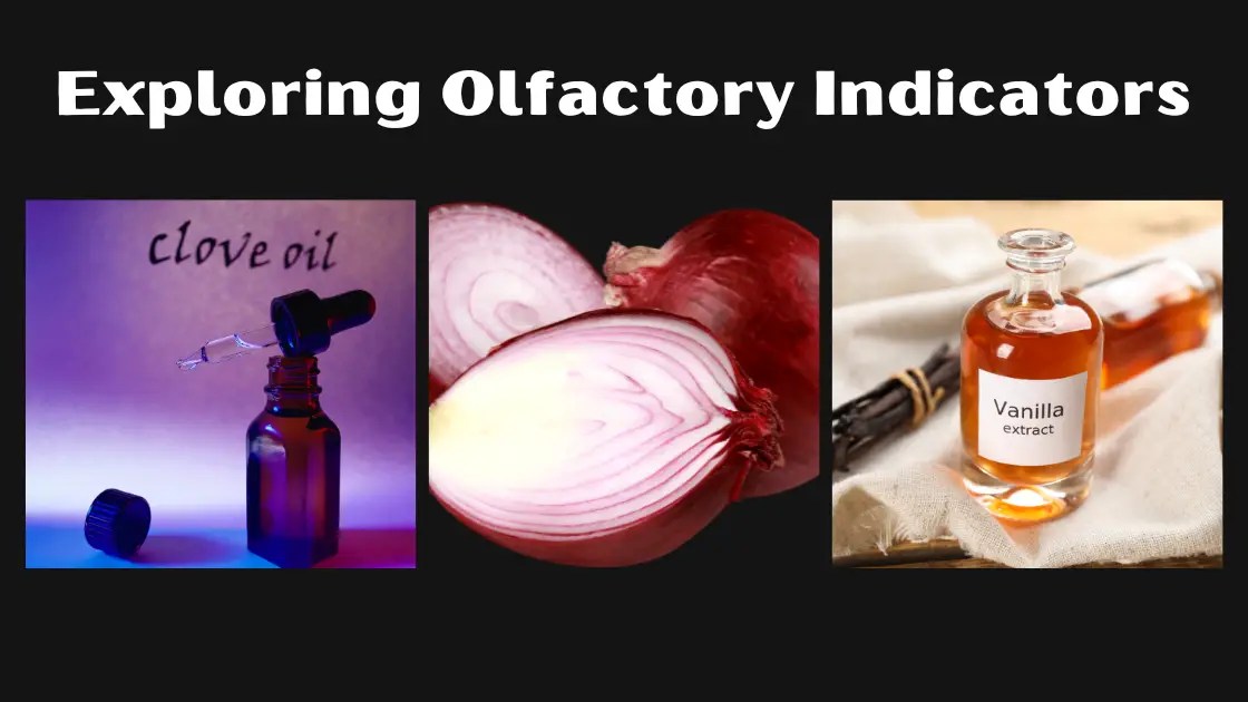 Activity 2.2 Class 10 Science Understanding Olfactory Indicators