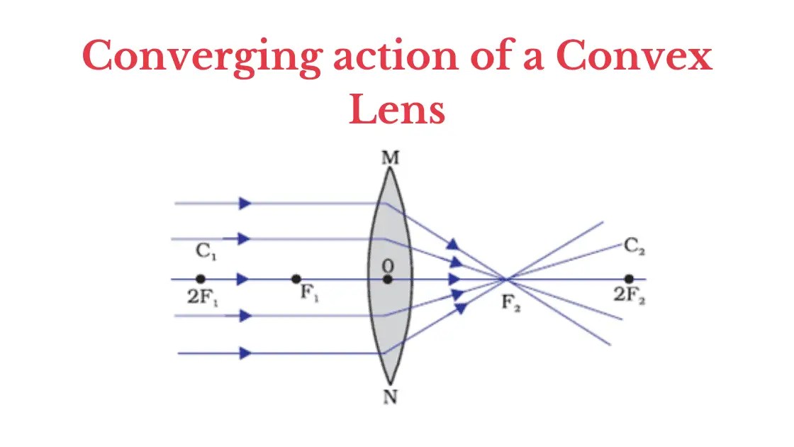 Uses of Convex Lens PhysicsGoEasy