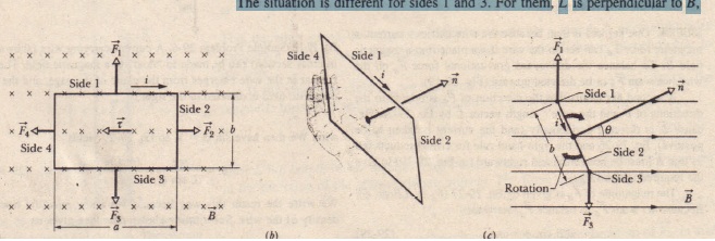 Torque On A Current Loop Physics Homework Help, Physics Assignments And Projects Help, Assignments Tutors Online