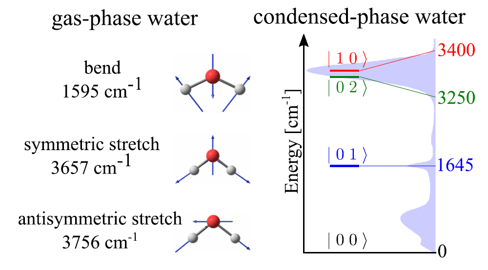 Water Molecule Vibrations with Raman Spectroscopy PhysicsOpenLab