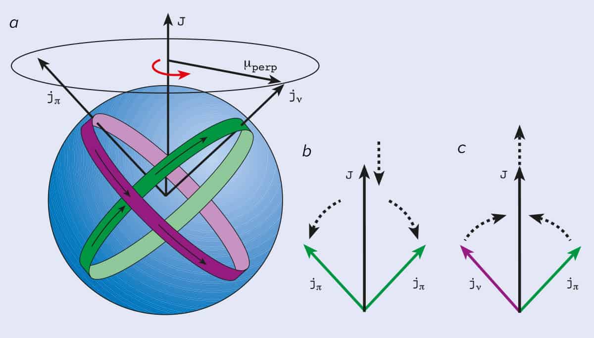 A new spin on nuclei Physics World