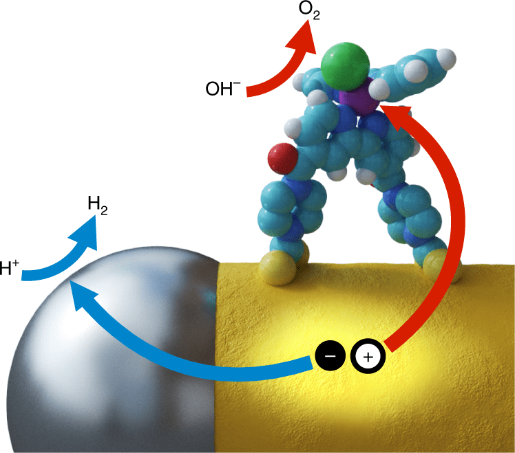 Specific nanocatalyst placements improve visiblelight water splitting