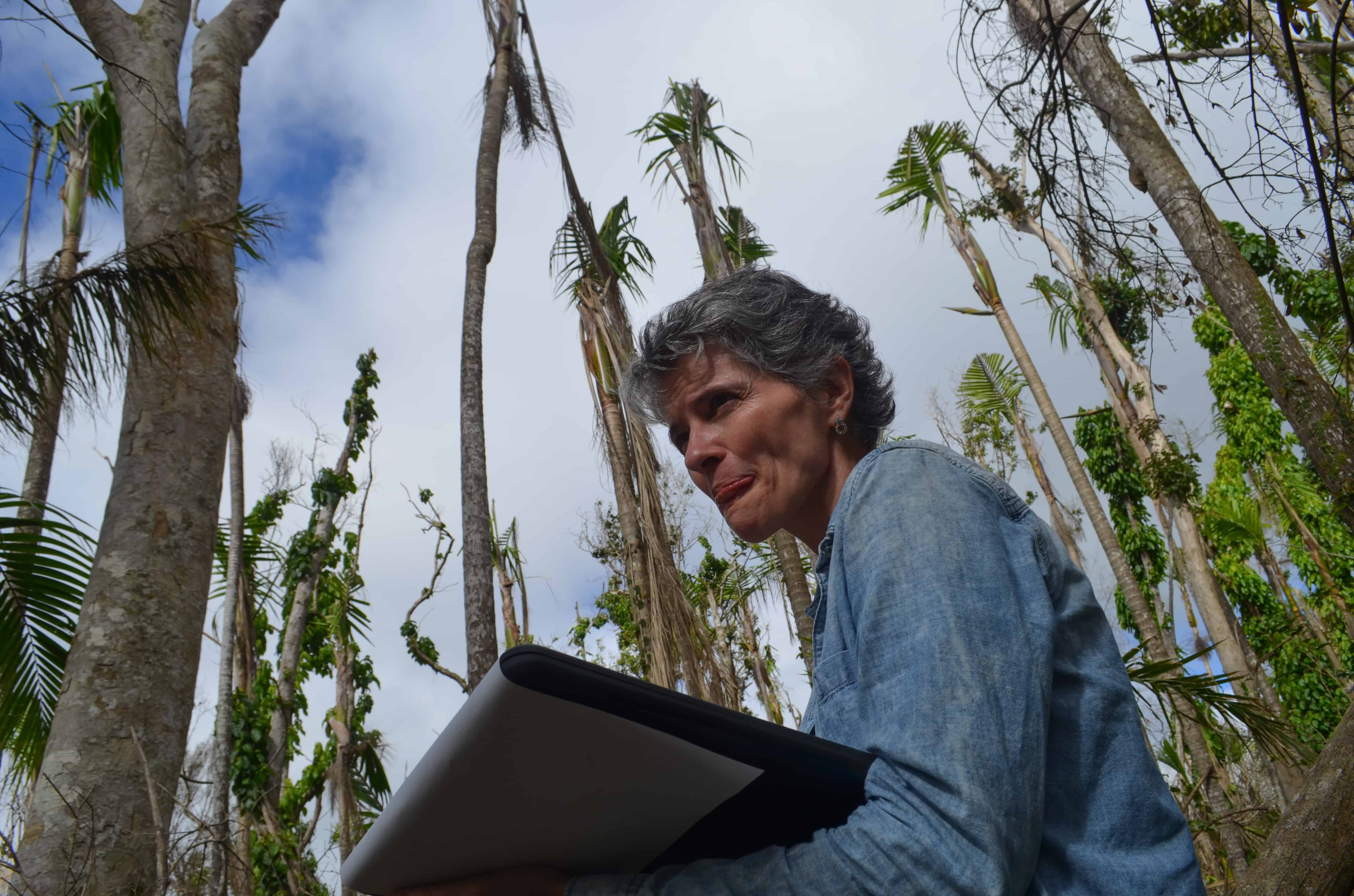 Laser Beam Haircut The Best Picture Of Beam