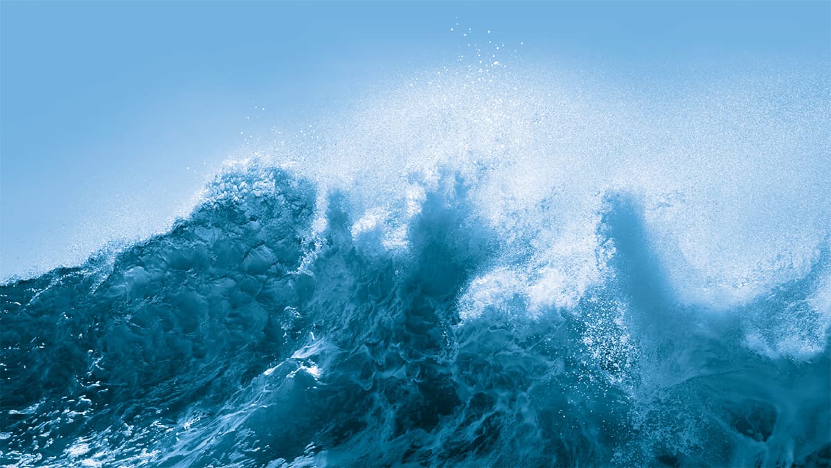 Wave power, terahertz physics and bumper careers advice for graduates