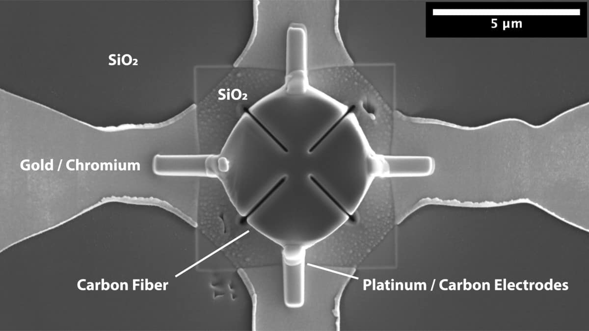 Carbon fibres have directional electrical properties Physics World