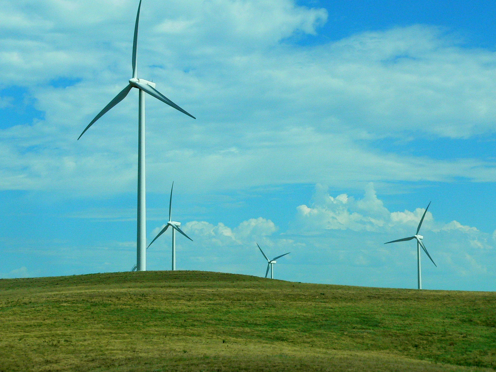 PhysInGreen Plant Physiology in a Changing Climate and other Science