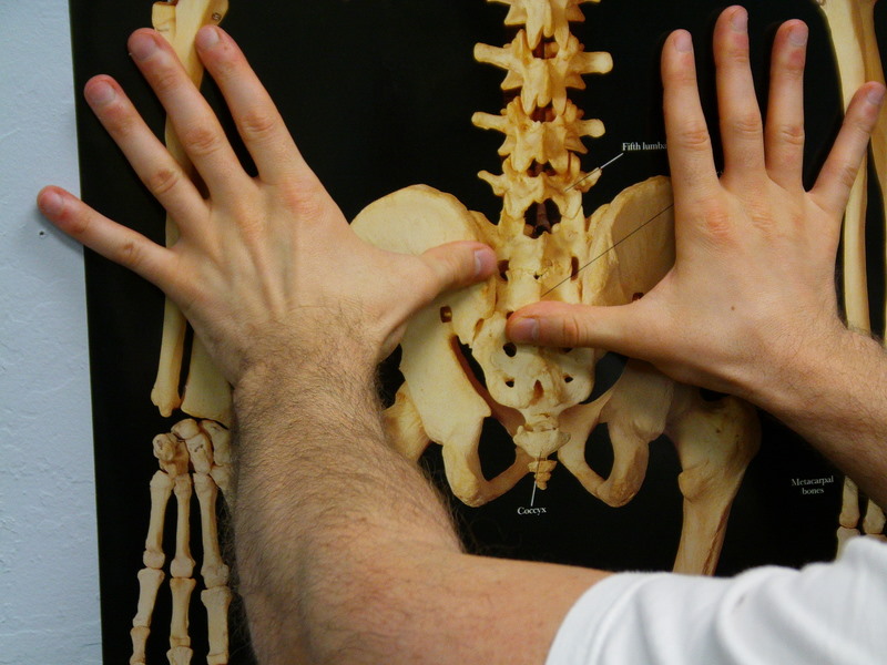Is The Stork Test For The SIJ Useful Or Relevant? The