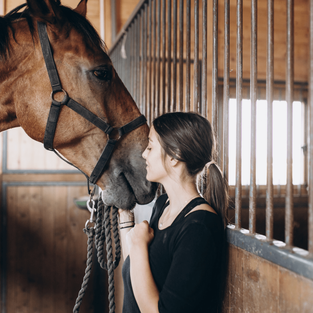 Insider’s Guide to Laser Therapy for Horses Physio Equine Solutions