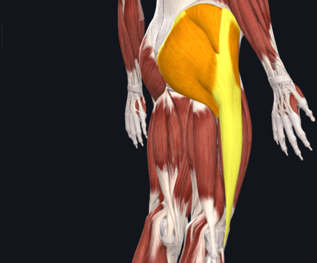 Physio Fit Studio Can your hip cause knee pain?