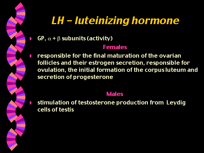 ..LH luteinizing hormone..
