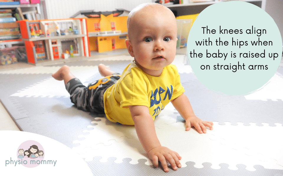 Frog Legs a Few Things Worth Knowing Physiomommy