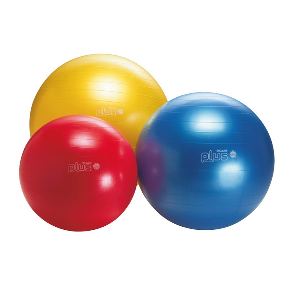 Pn Pregnancy/Gym/Swiss ball Physio Products Kenya.