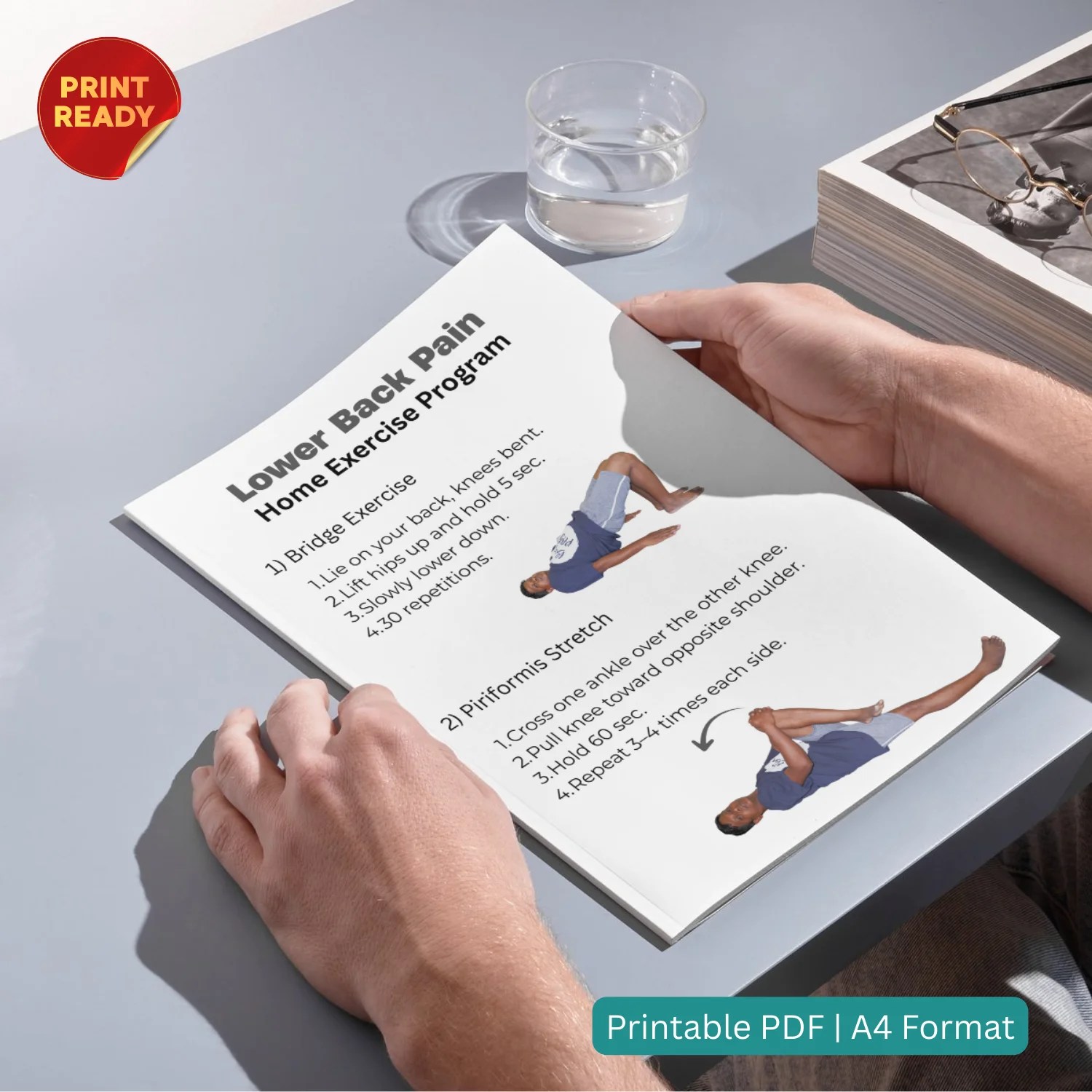 Low Back Pain Exercise Handout PDF Printable PHYSIOSUNIT