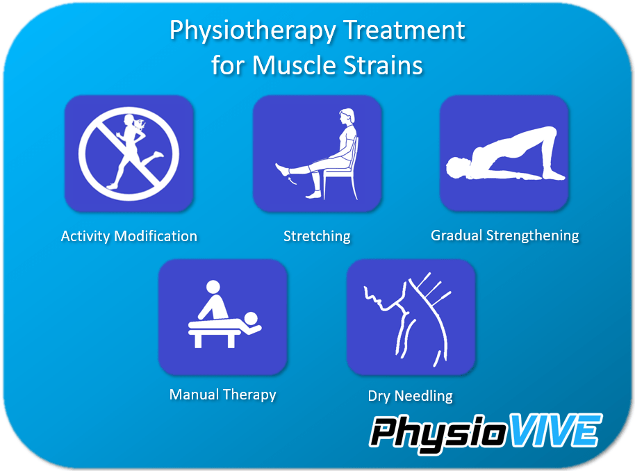 Muscle Strain Weekend Warriors Beware! Physiovive