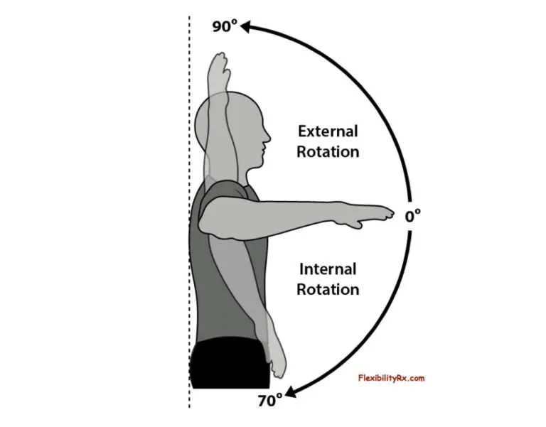 Planes Of Motion Sagittal, Frontal, Transverse Blog