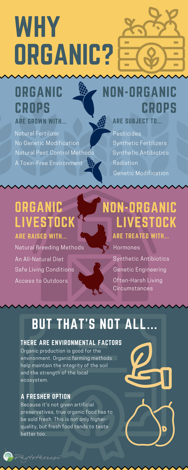Why Organic? (Infographic) Phytotherapi