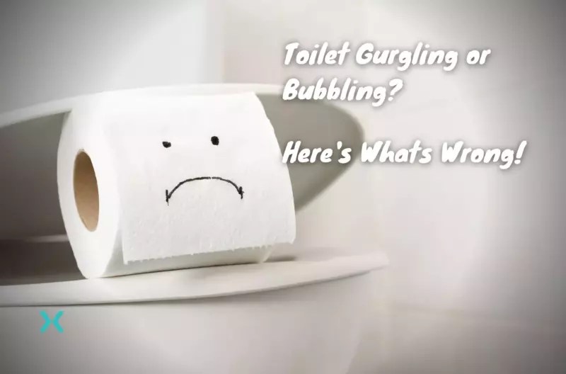 Toilet Gurgling? Your 2024 Quick Fix It Guide! Phyxter Home Services