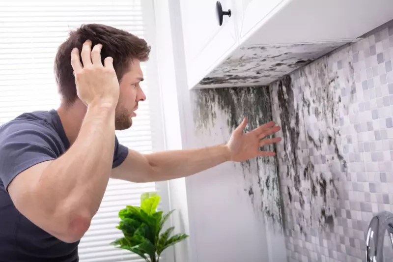 6 Common Air Conditioner Smells and What They Mean Phyxter Home Services