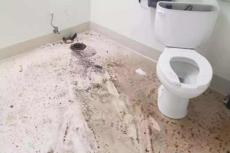 Should You Caulk Around a Toilet? Your Quick Fix it Guide! Phyxter Home Services